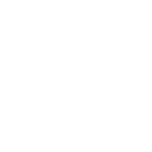 X icon