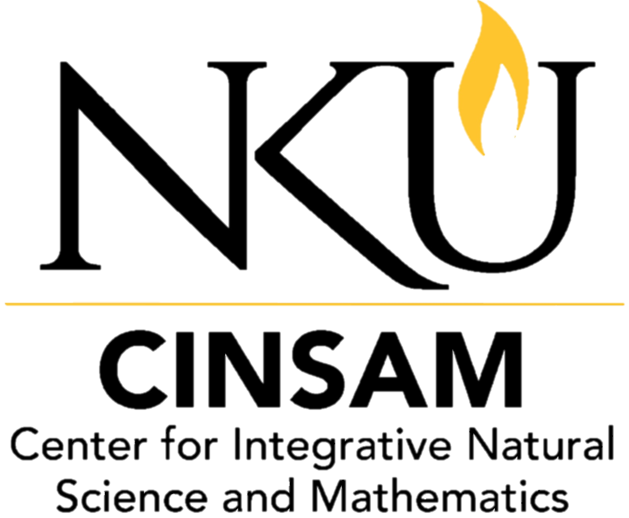 CINSAM snail logo