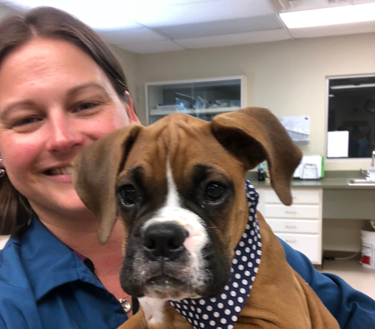 Dr. Jen Quammen, DVM