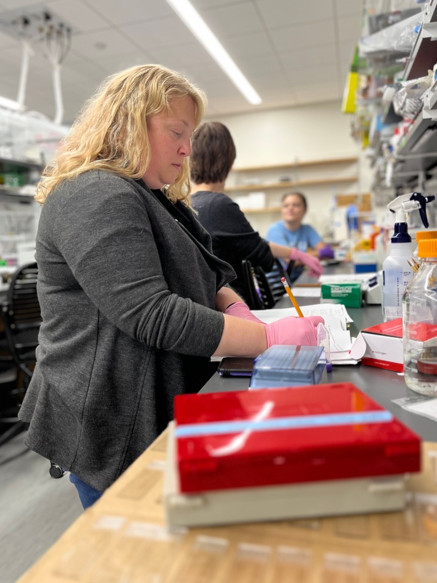 Undergraduate Research in STEM at NKU Dr. Williamson conducts research in the lab with students.