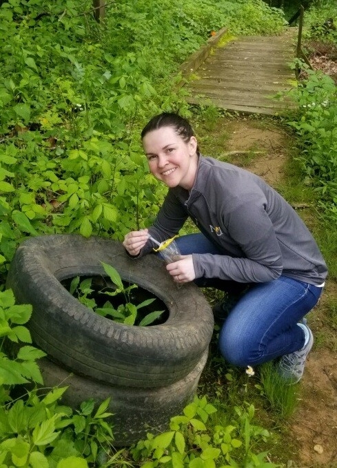 Dr. Parker collects samples out of tire in the woods.