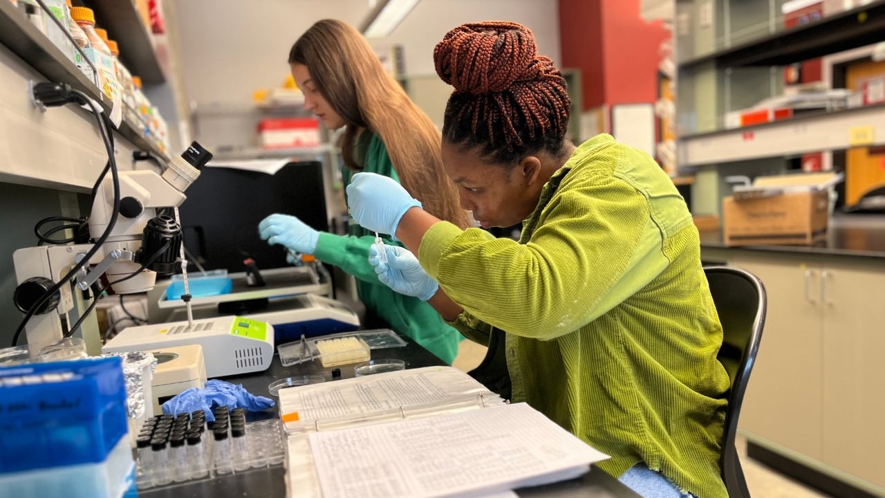 Undergraduate Research in STEM at NKU Biology students do summer research in NKU's biology lab.