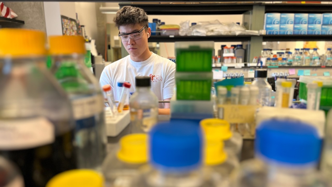 Get Research Experience