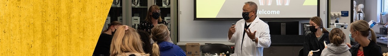 students learning