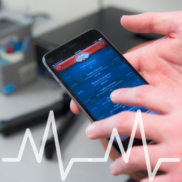 A person holding a cell phone.