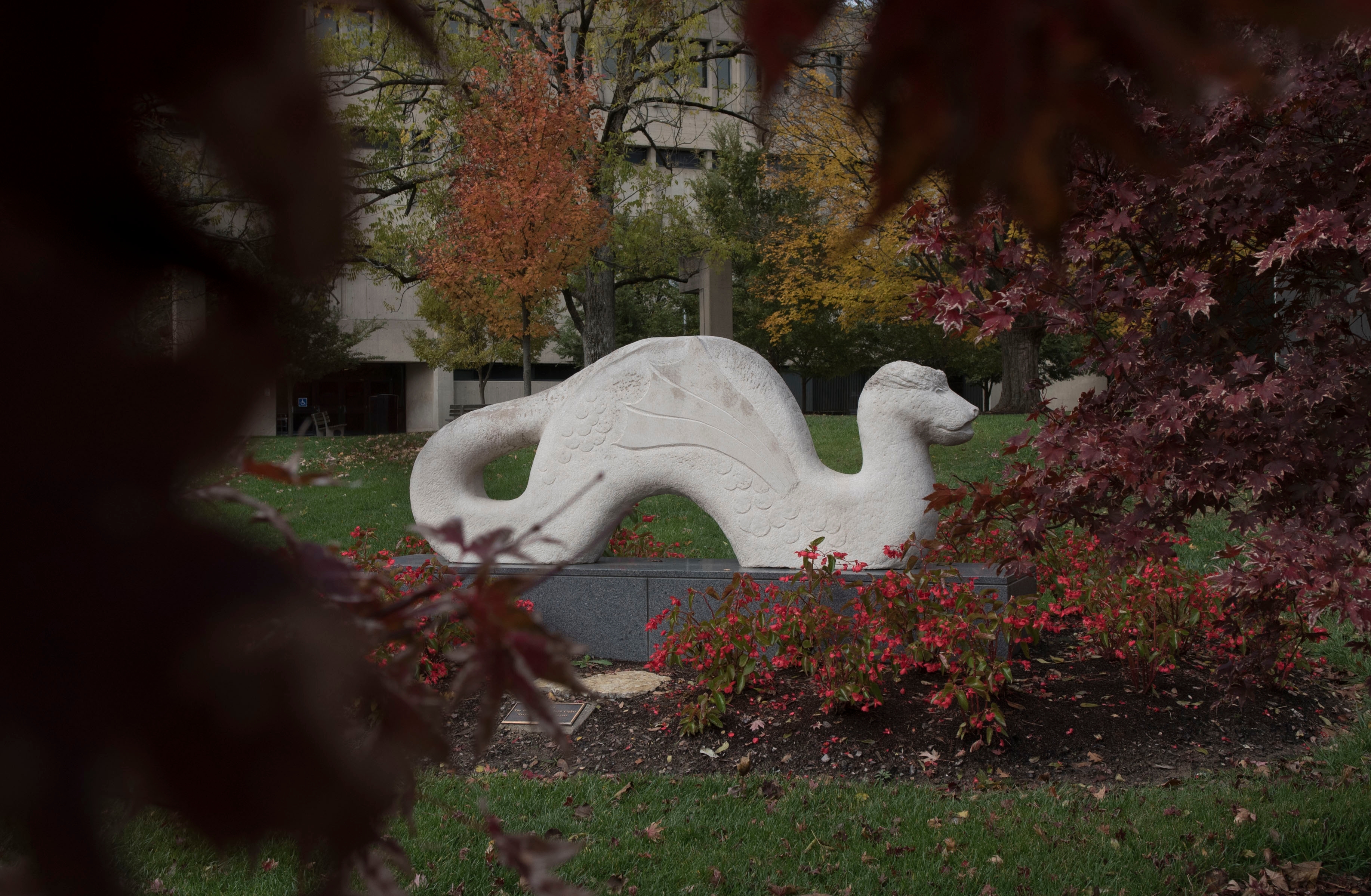 NKU Steely Library rows of bookshelves